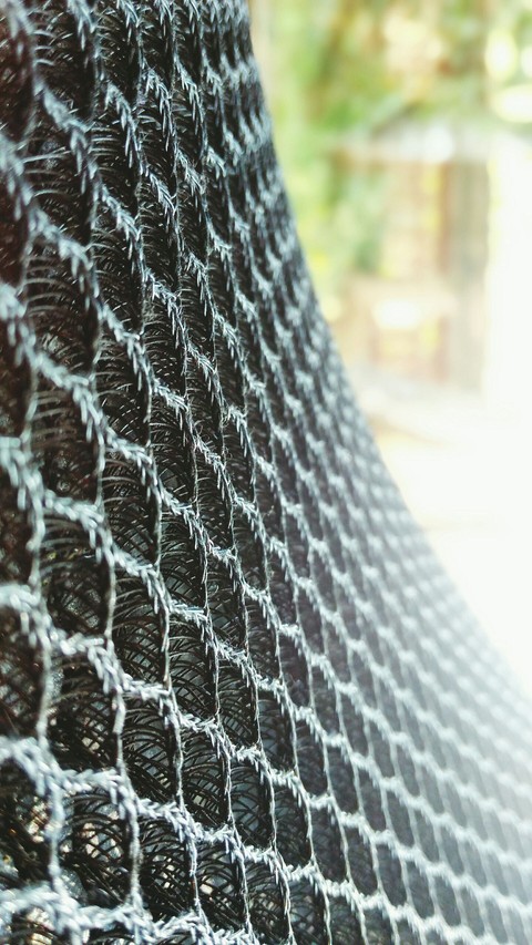 Macro
