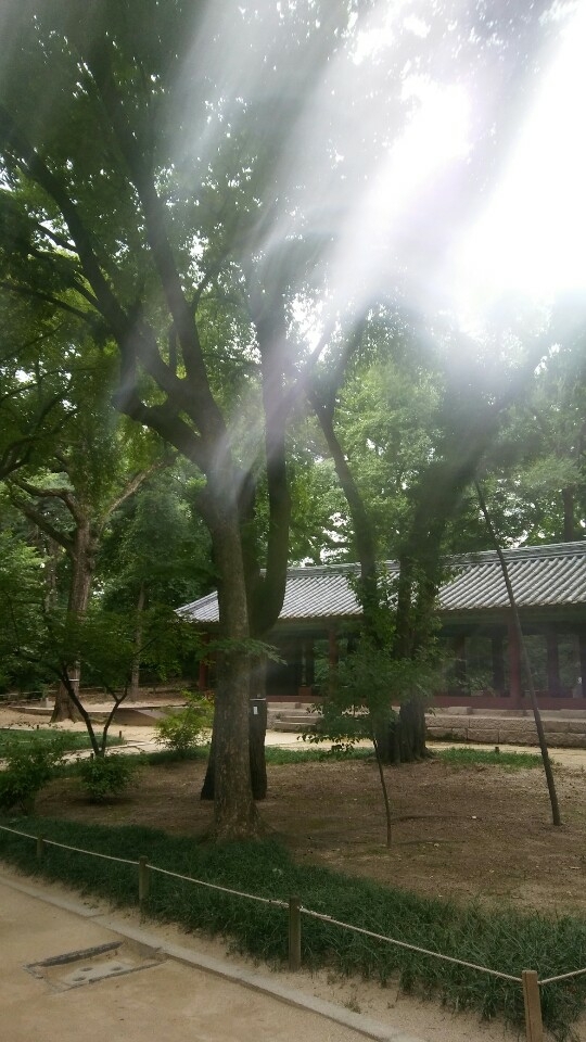 종묘의 정오