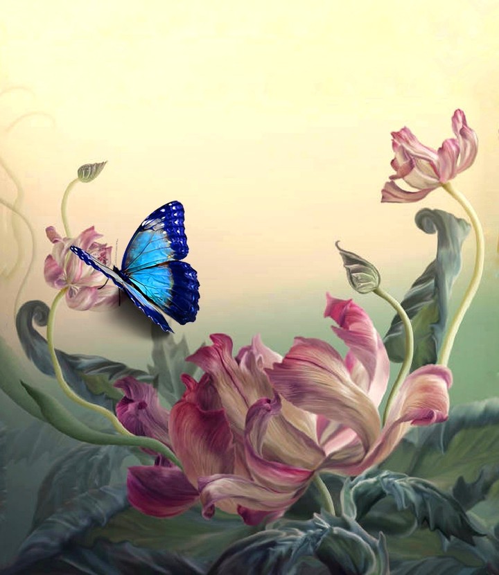 butterfly