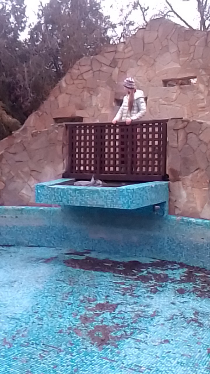 бассейн