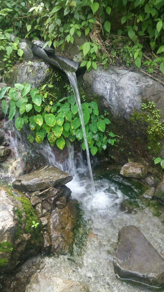 Shambhu