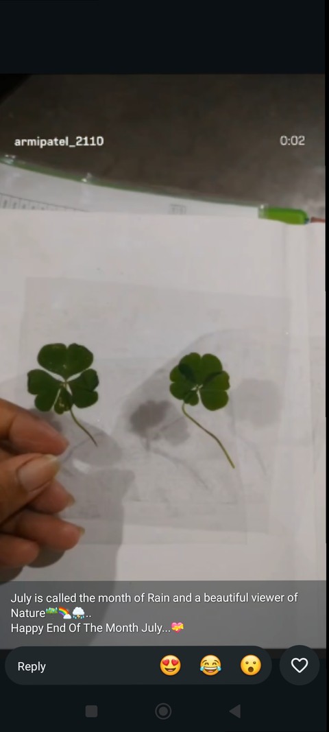 fonds d'écran shamrock, Symbol