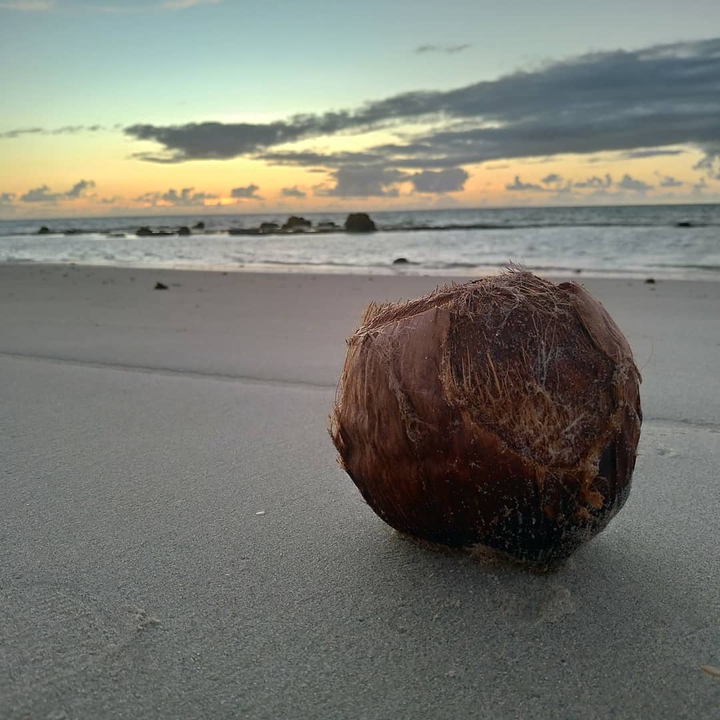 Praia pernanbucana!