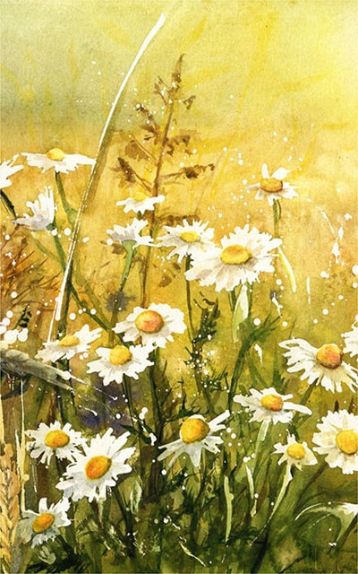 Spätsommer