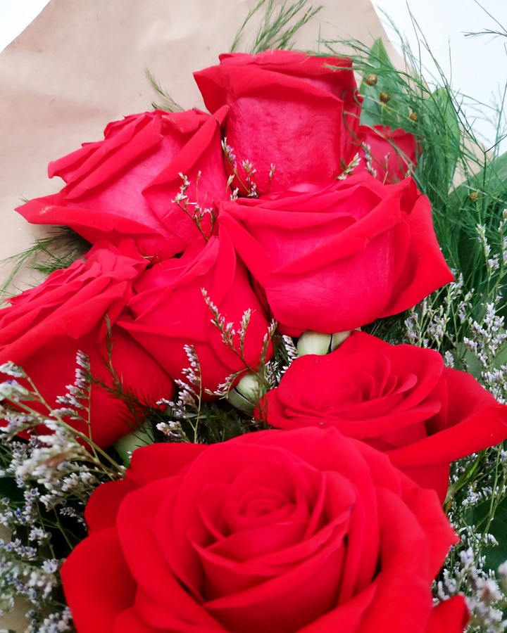 Amor