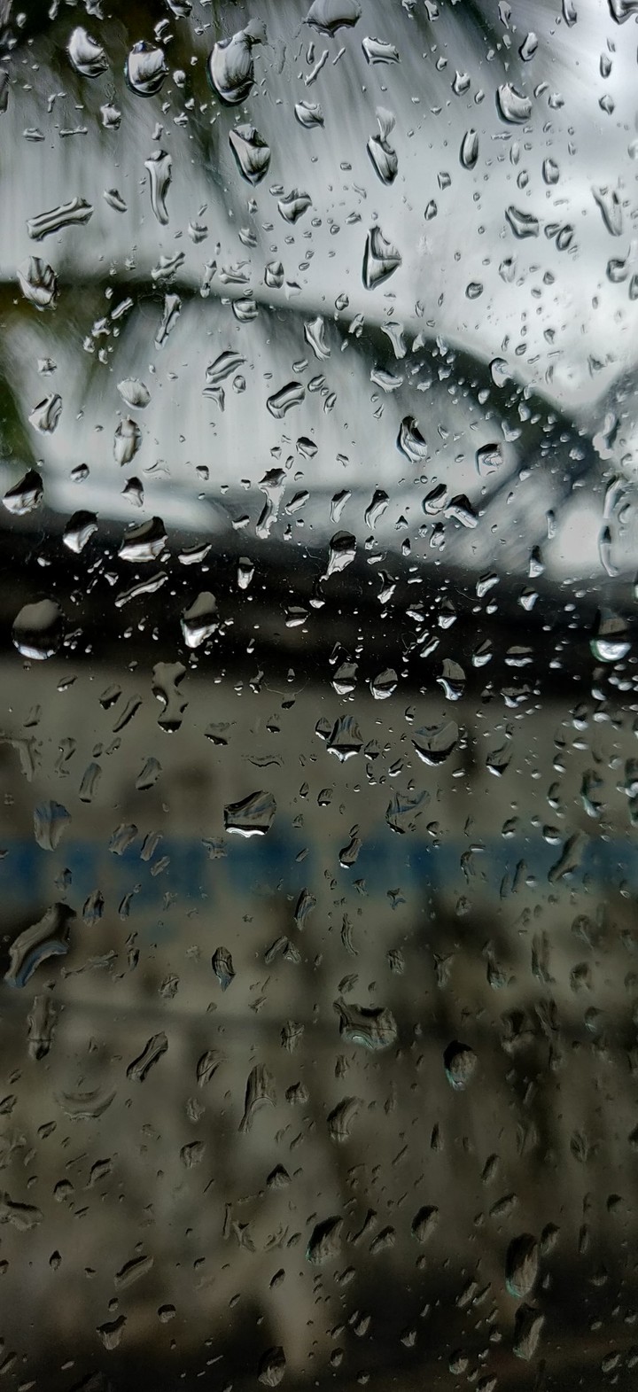 First Rain