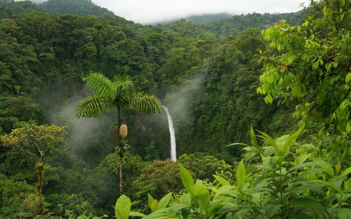 nature