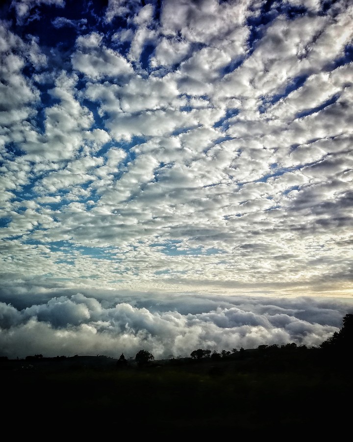 Cielo