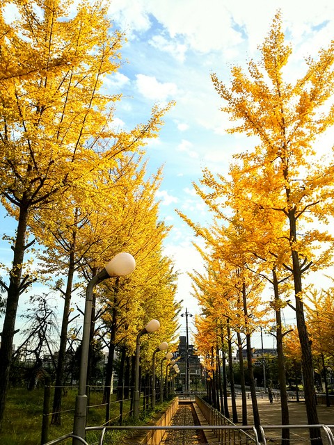 autumn