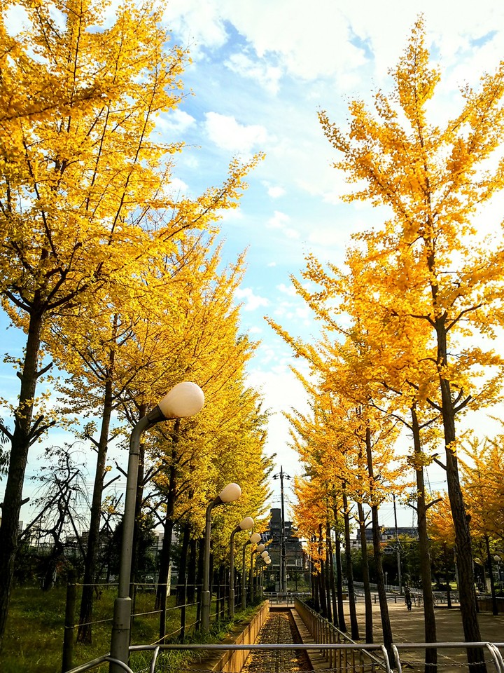 autumn