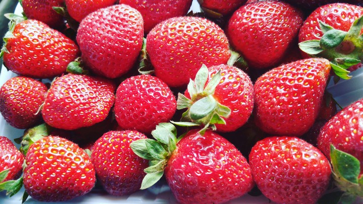 fruit