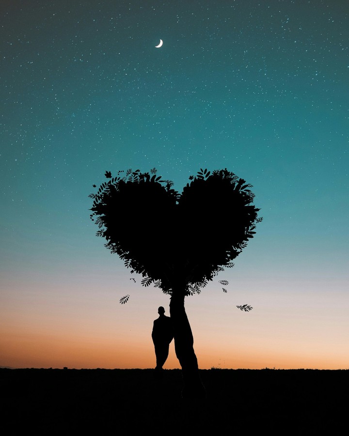 love