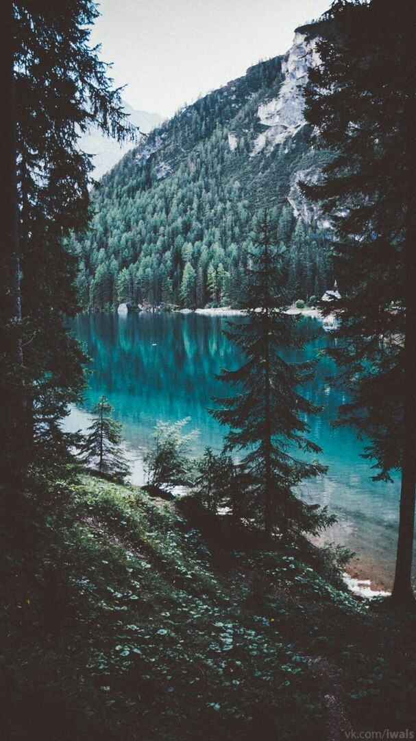nature_