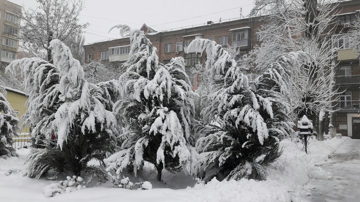 Winter in the city