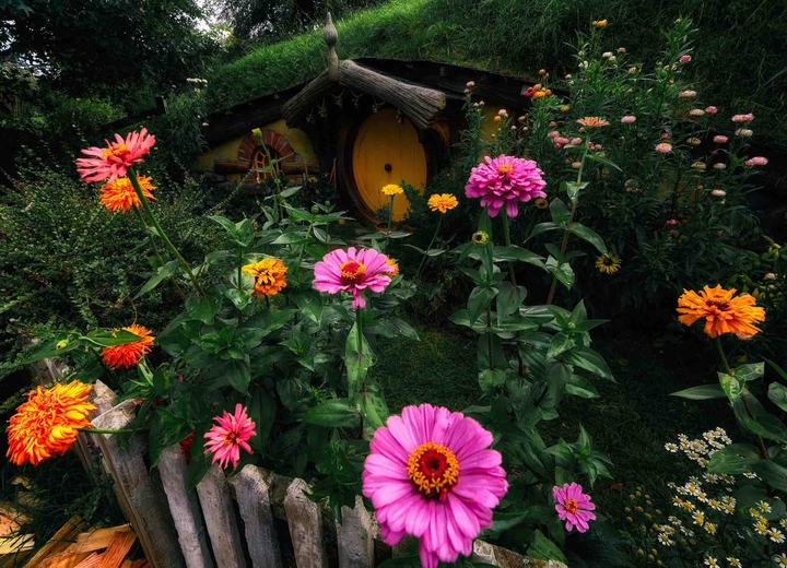 hobbiton, New Zeland