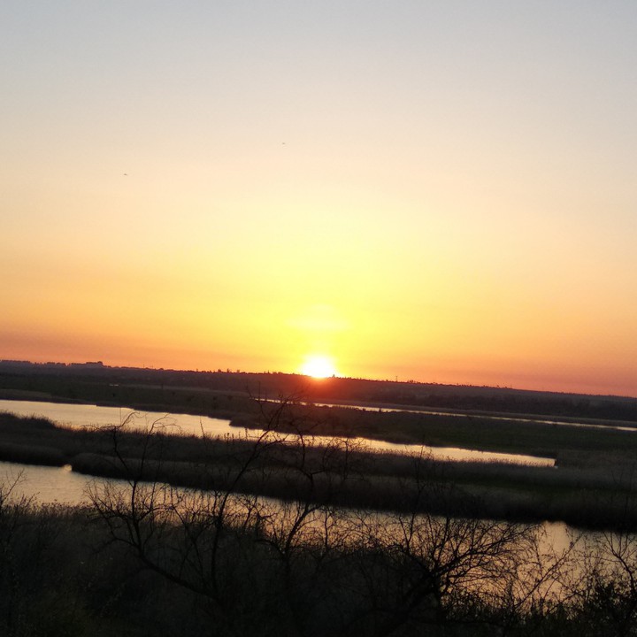sunnyset