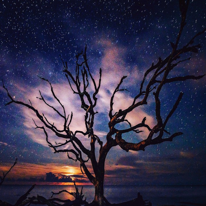 Night