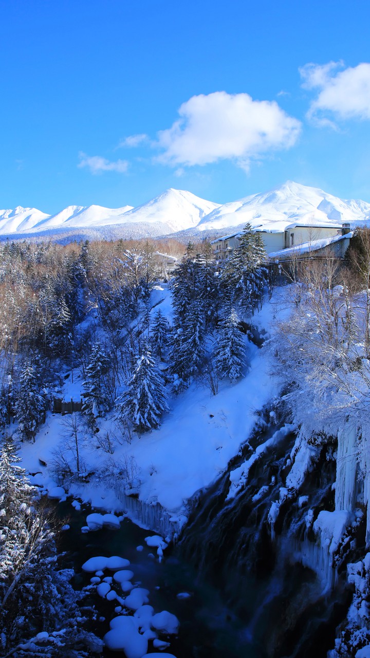 Winter