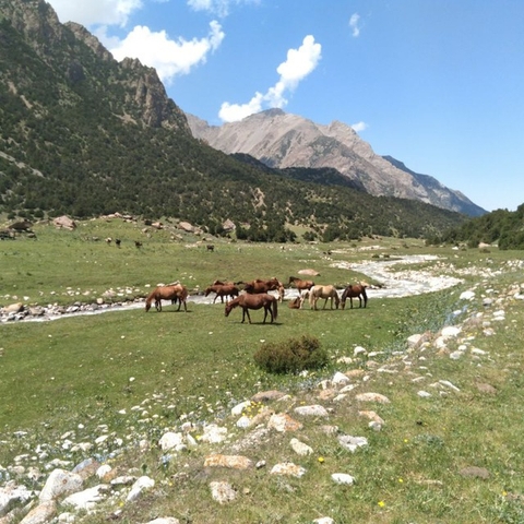 обои plain, mountain