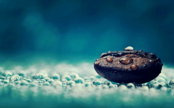 Coffee bean
