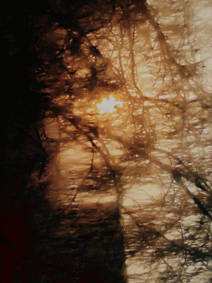 picture nature