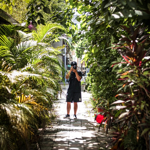 Taiwan Garden