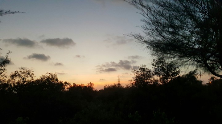 evening