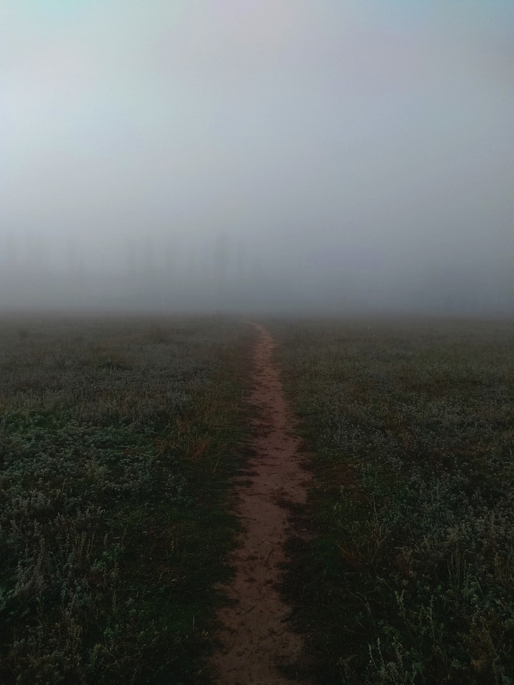 кривая тропинка