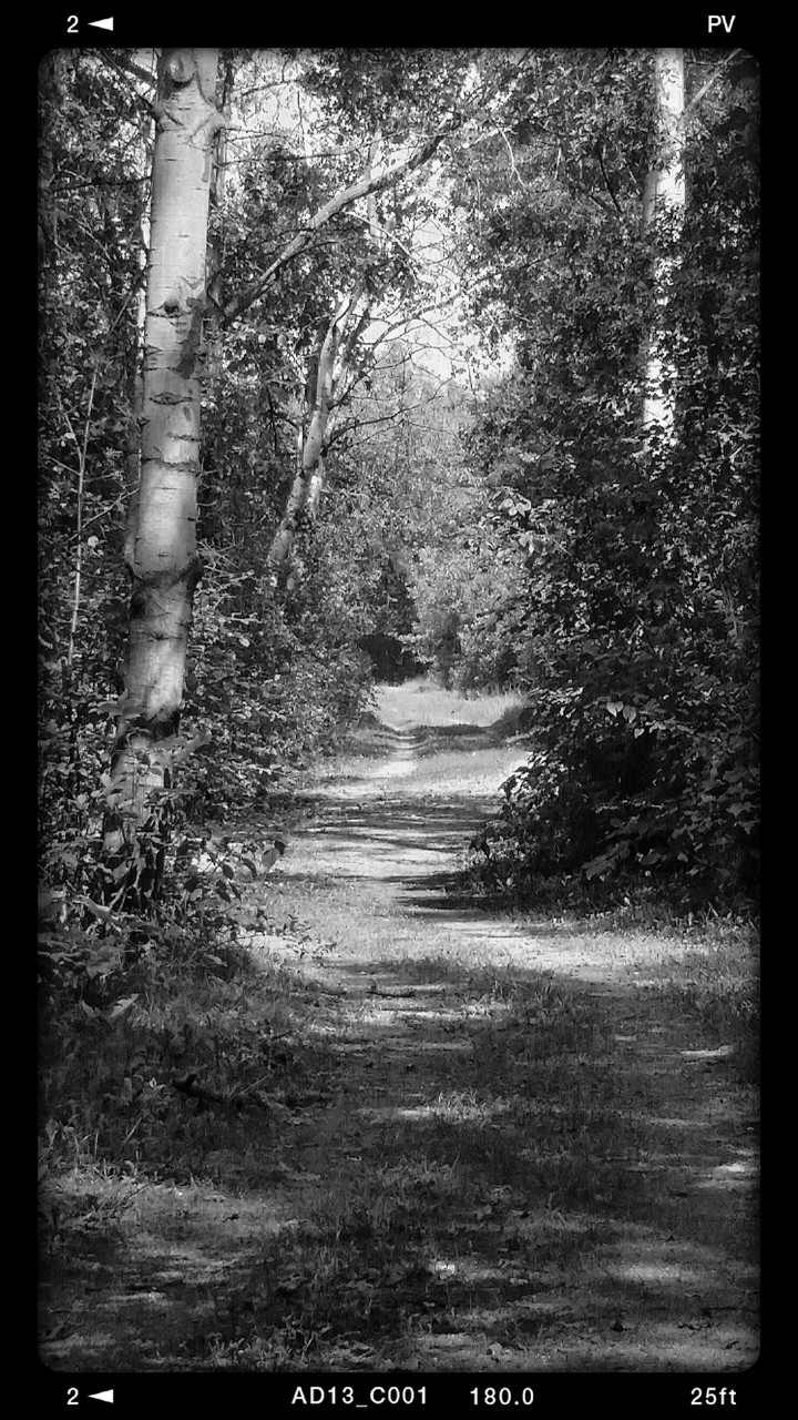 The Path Less Traveled