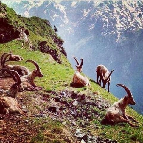 nature