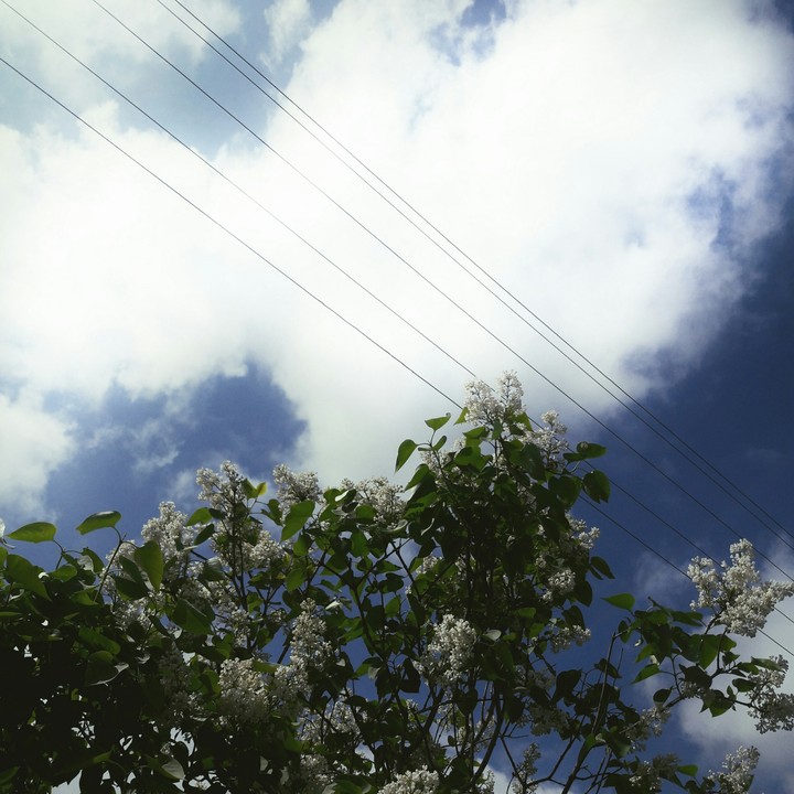 Sky