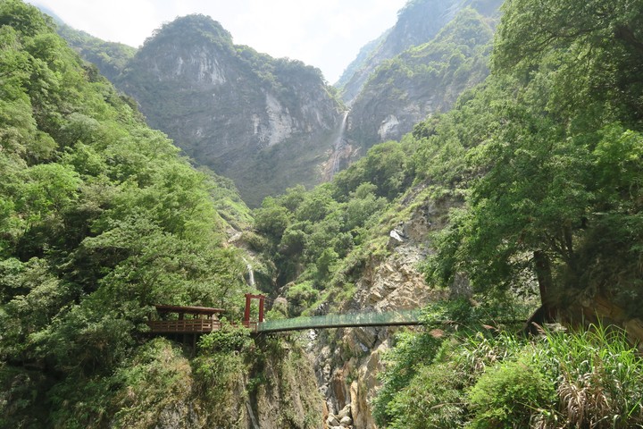 Suspension bridge