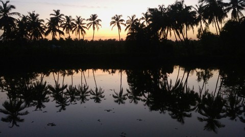beside the lake