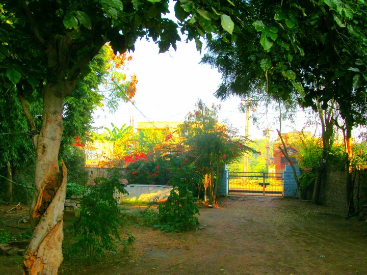 Home