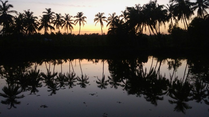 beside the lake