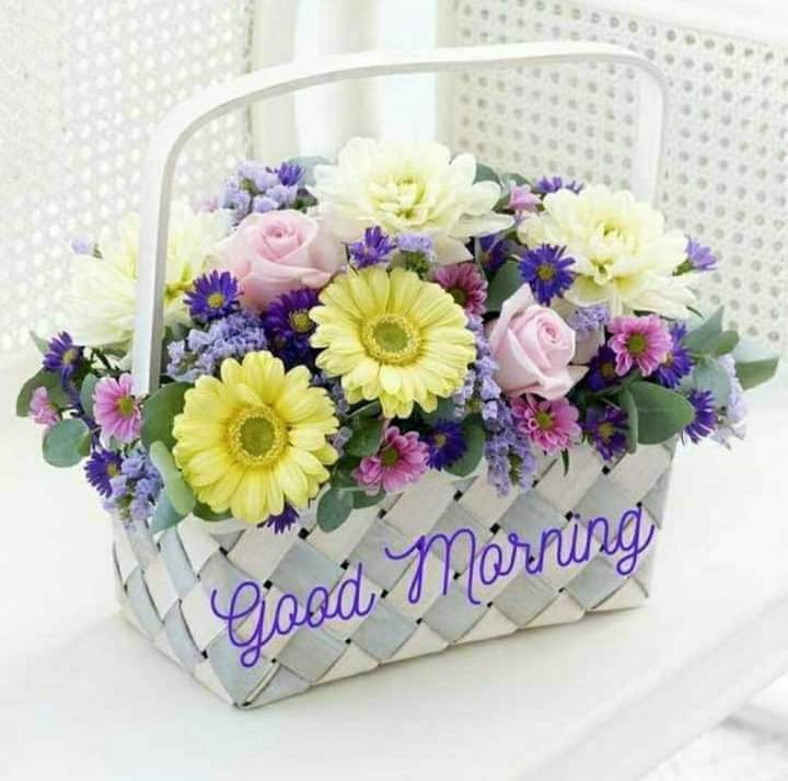 good morning