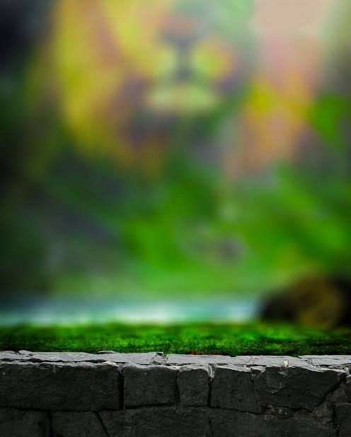 Blur Background
