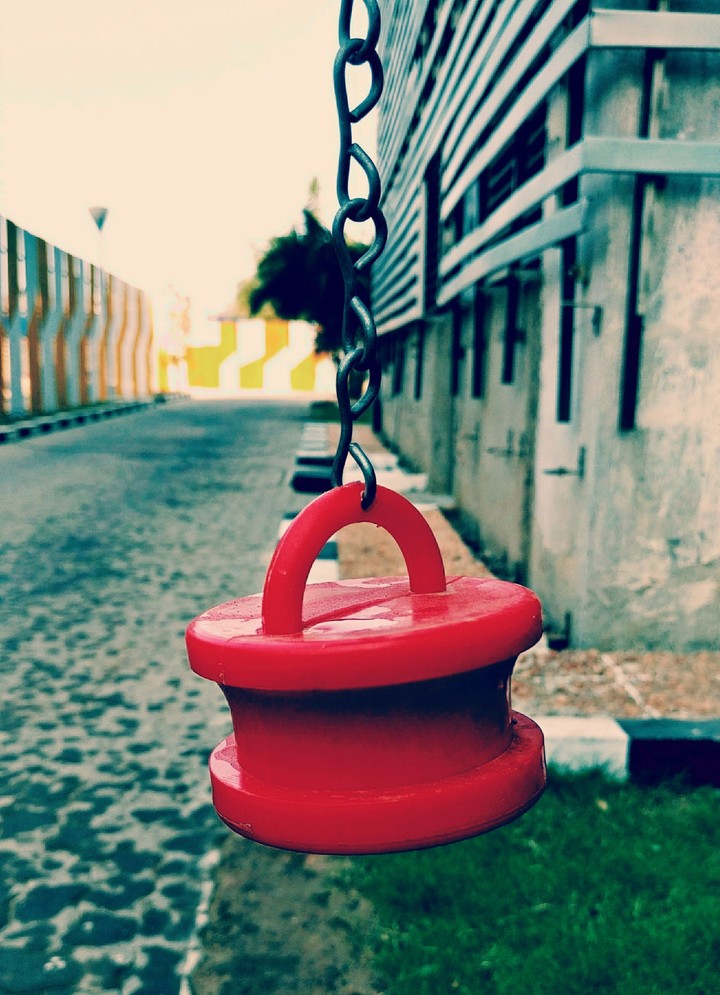 Red Beauty