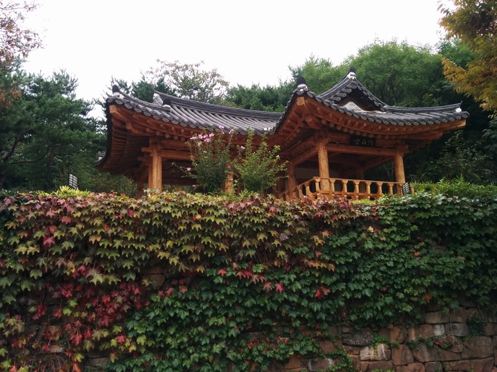 정자