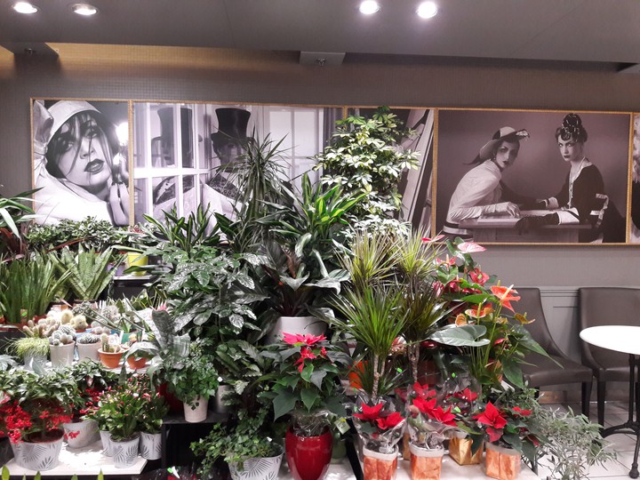 Stockmann Eesti