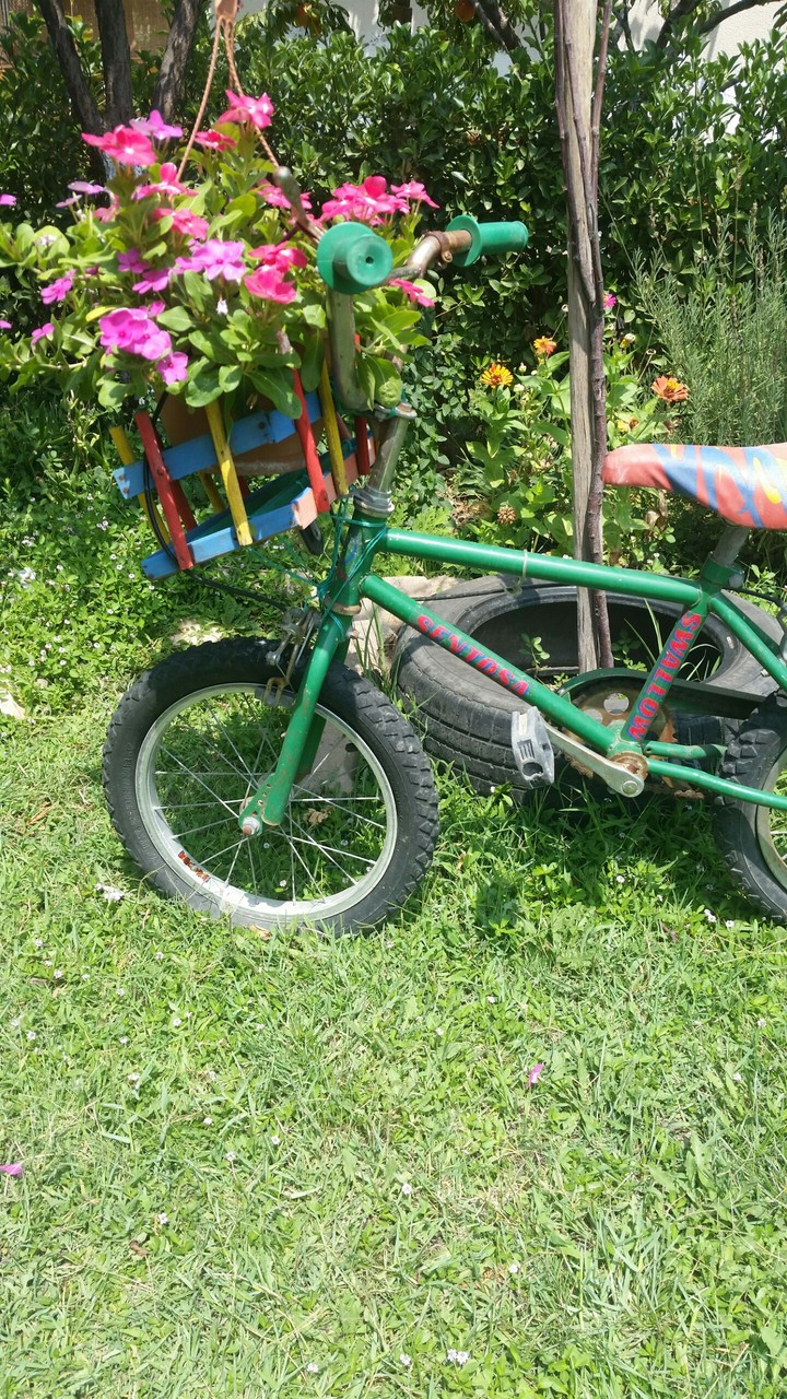 Cycle