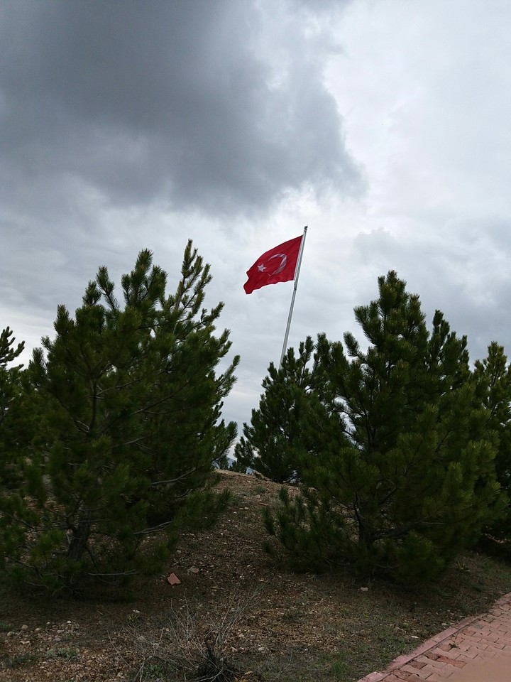 Turkish Flag 