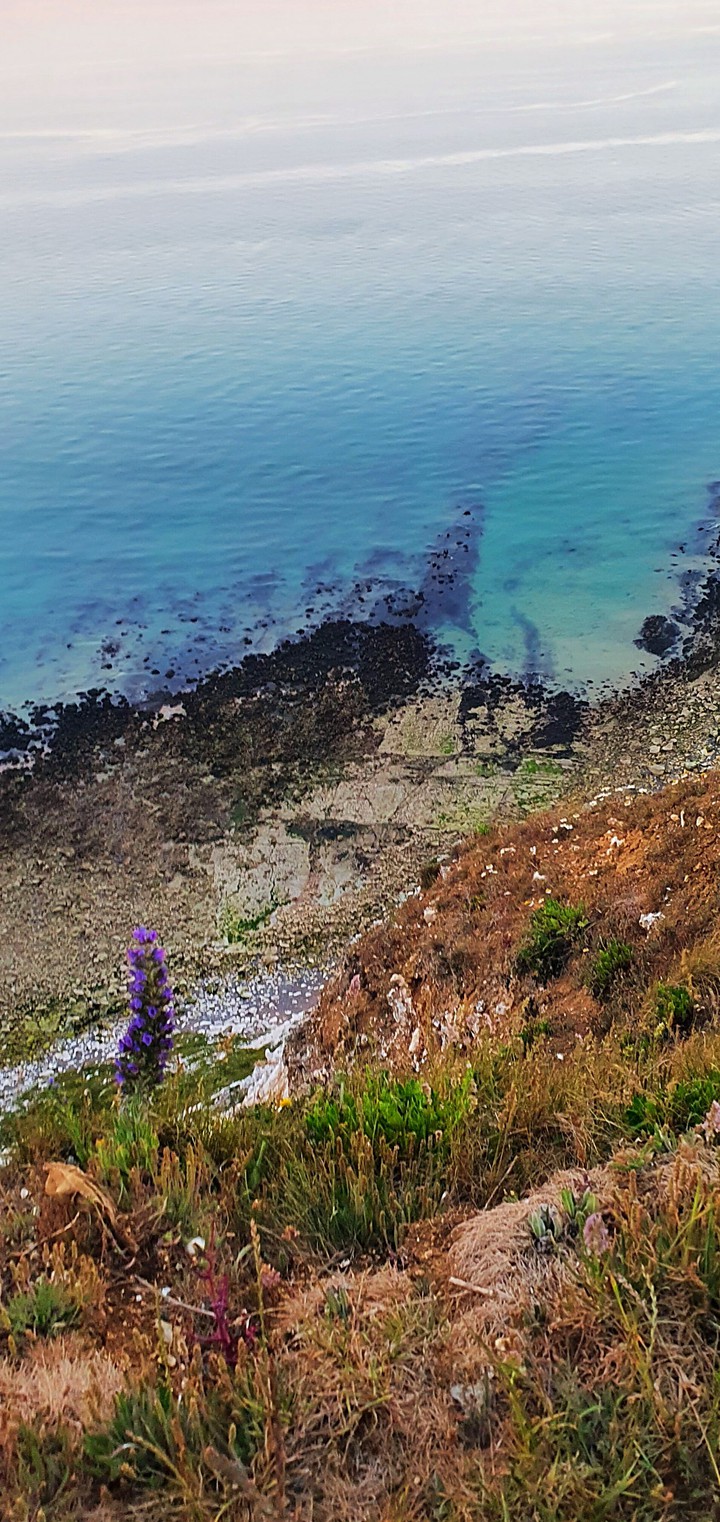 Cliffs