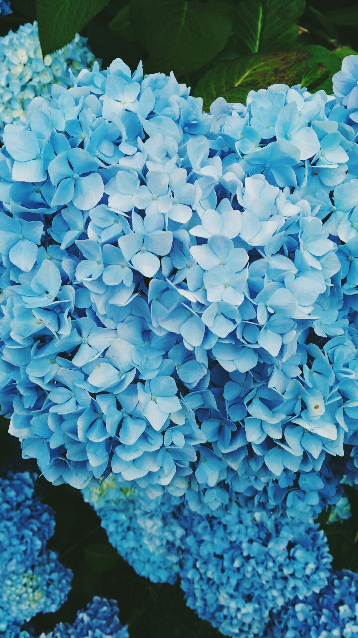 :)