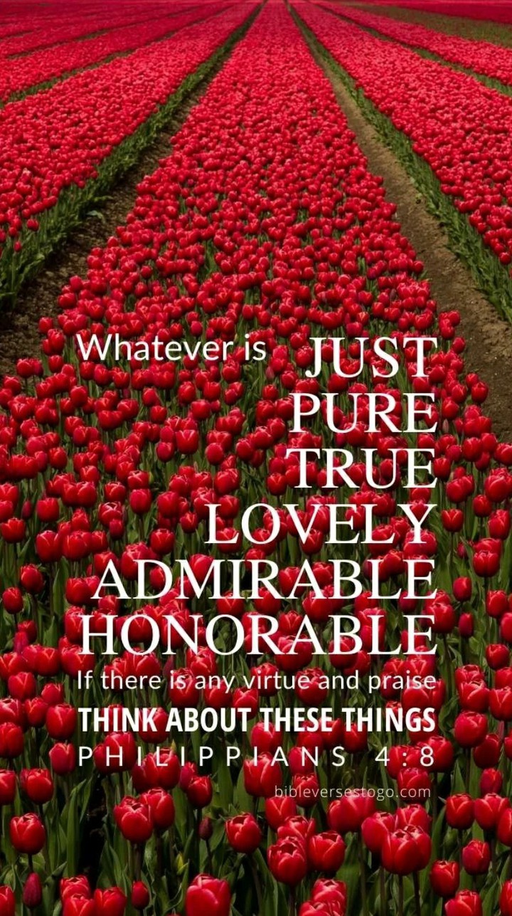 Philippians 4:8