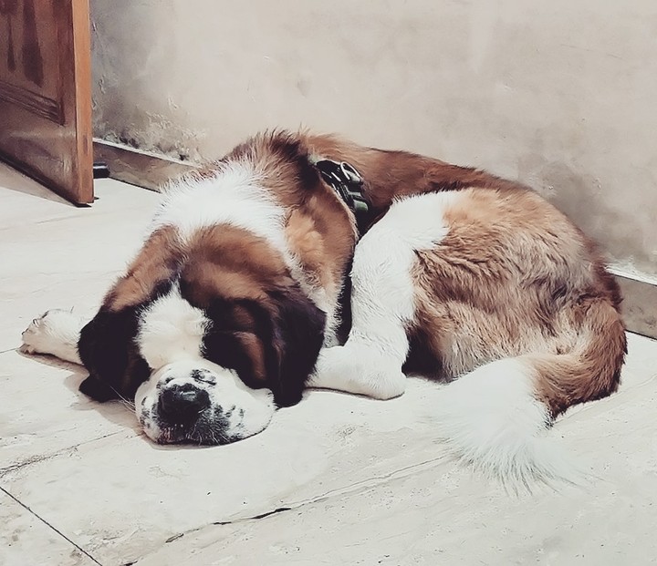 Sleeping beauty