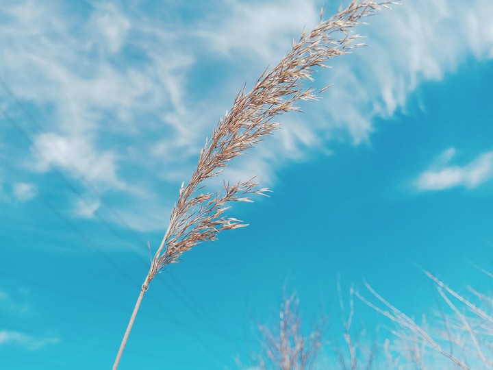 sky
