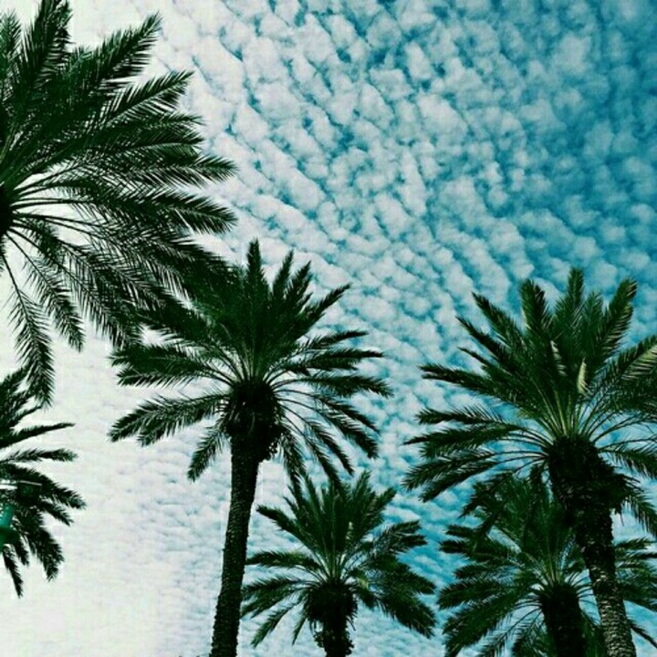 Sky