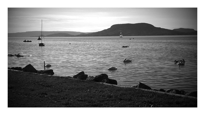 Lake Balaton alias Swan Lake