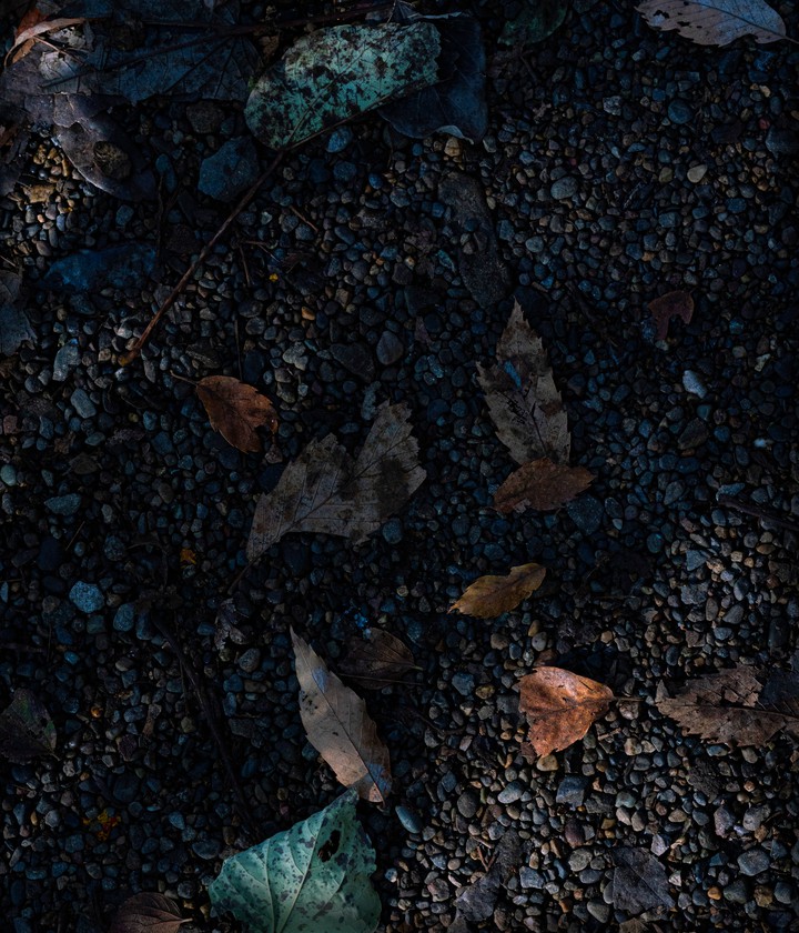 soil